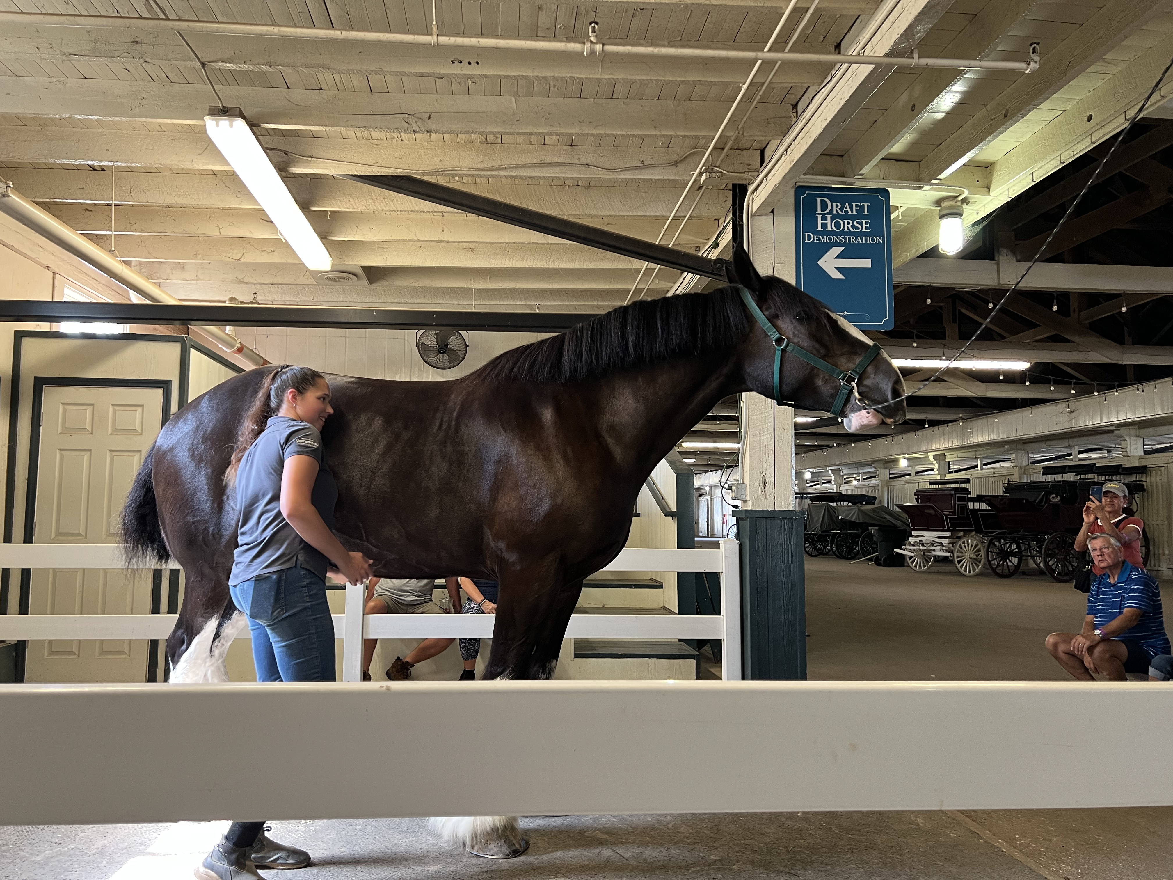 ./2023/12 - Kentucky/IMG_0194.jpg